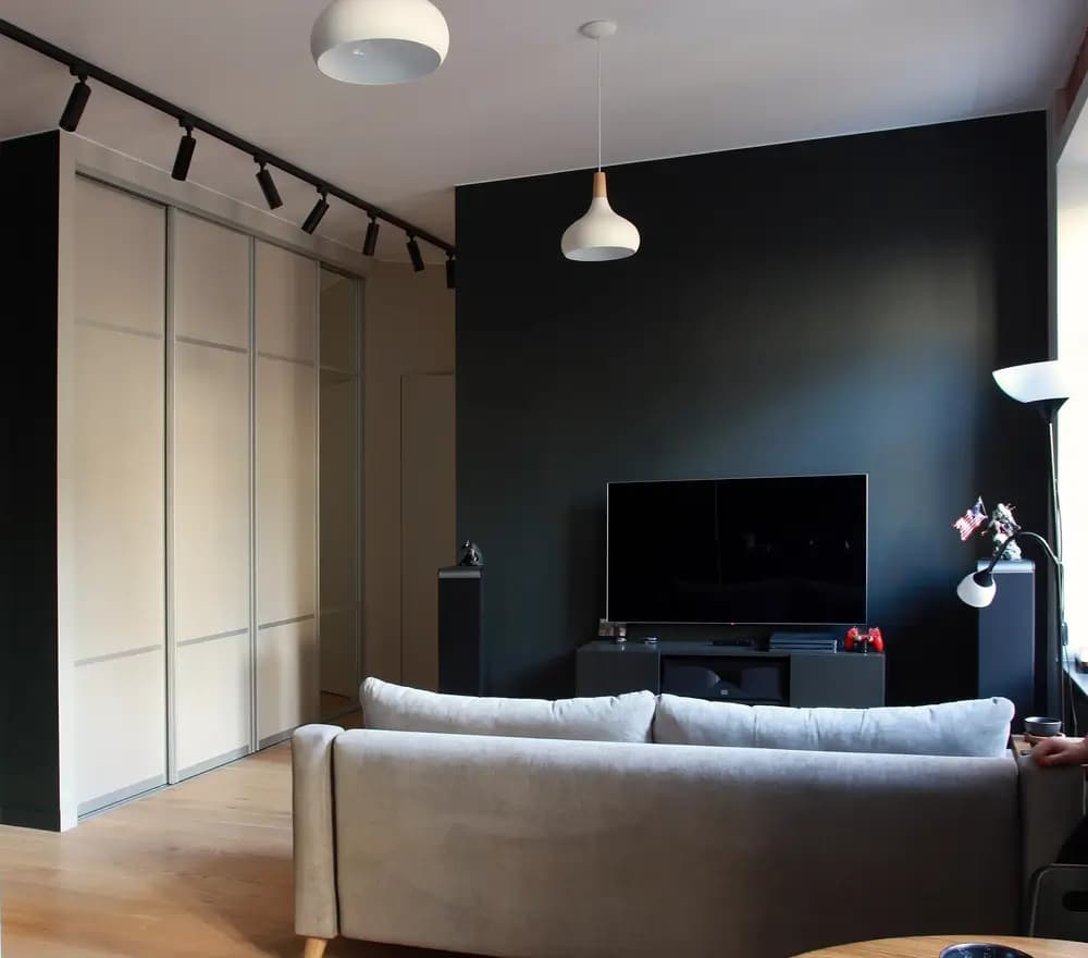 В гостиной вдоль одной стены расположен большой многофункциональный шкаф для хранения личных вещей.